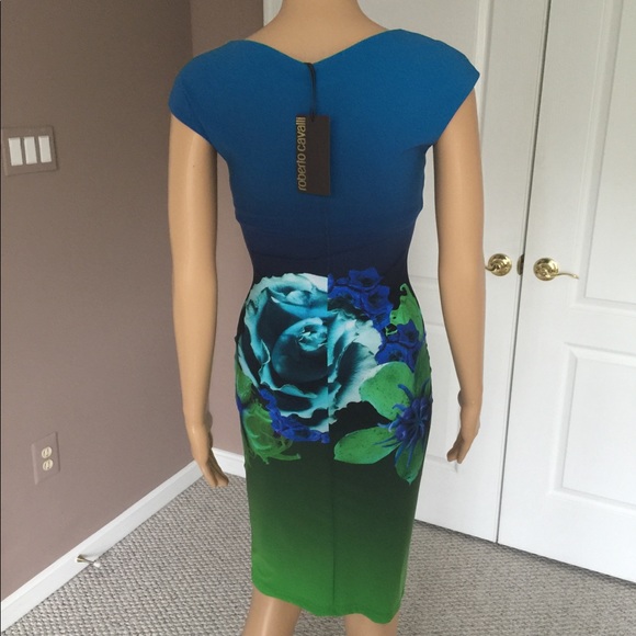 Roberto Cavalli Dress Size: 4 - Picture 5 of 9